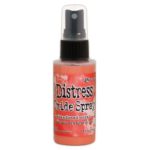 Distress Oxide Spray - Abandoned Coral TSO67528
