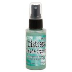 Distress Oxide Spray - Evergreen Bough TSO67672