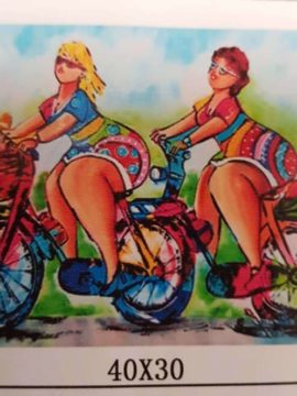 Diamond Paint Dames op de fiets 40 x 30cm ronde steentjes