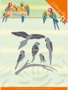 **-30%** Dies – Amy Design – Colourful Feathers – Parrot