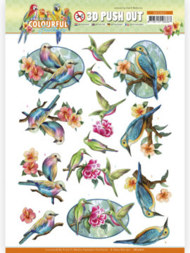 3D Push Out – Amy Design – Colourful Feathers – Hummingbird