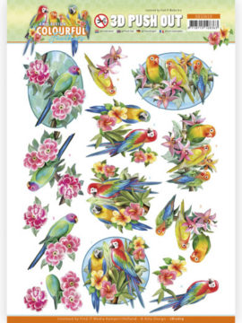 3D Push Out – Amy Design – Colourful Feathers – Parrot