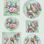 Scenery Birds Aquarella - Amy Design