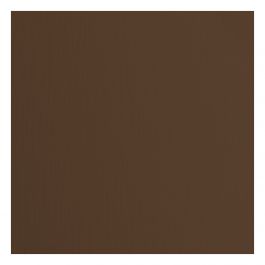 Cardstock Hazelnut texture 30,5 x 30,5 (5vel) – Florence