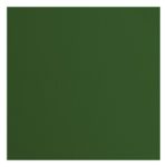 Cardstock Pine texture 30,5 x 30,5 (5vel) - Florence