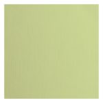 Cardstock Anise texture 30,5 x 30,5 (5vel) - Florence