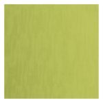 Cardstock Pistachio texture 30,5 x 30,5 (5vel) - Florence