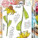 AALL & Create Stamp Rise & Shine