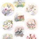 Mattie's cirkels - Lente – Marianne Design