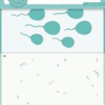 Studio Light Mask Sweet Stories nr.191 SL-SS-MASK191 150x210mm