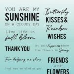 Studio Light Clear Stamp Essentials nr.387