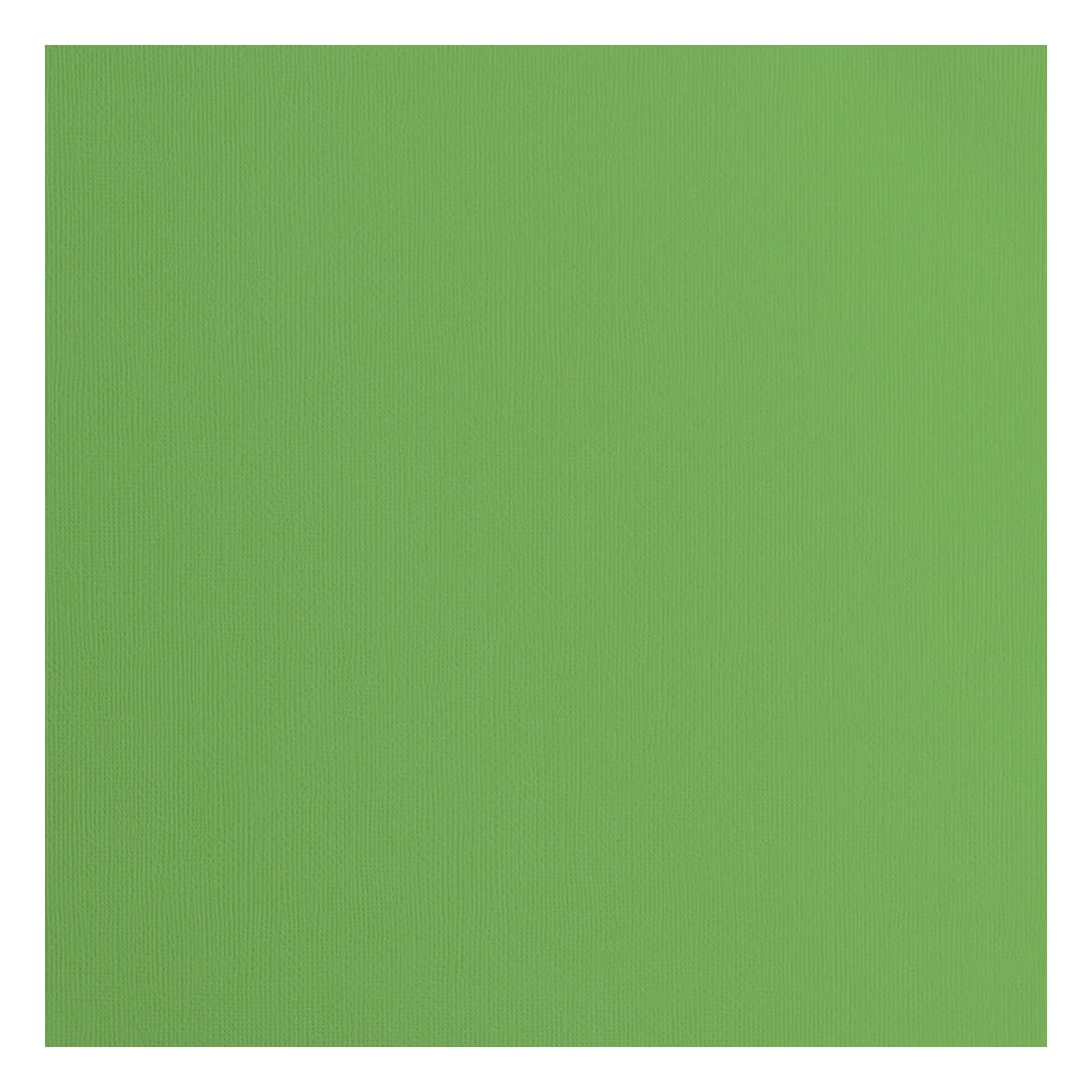 Cardstock Moss texture 30,5 x 30,5 (5vel) – Florence