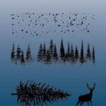 Studio Light Clear Stamp Essentials nr.479