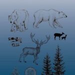Studio Light Clear Stamp Essentials nr.480