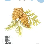 Snijmallen - Pine Cones -  Elizabeth Craft Design
