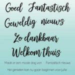 Studio Light Clear Stamp - Fantastisch -  Essentials nr.558 SL-ES-STAMP558