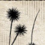 Studio Light Clear Stamp Nature's dream nr.523 HE-ND-STAMP523