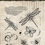 Studio Light Clear Stamp Nature's dream nr.528 HE-ND-STAMP528