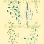 LeCrea - deco clear stamp Structuren achtergrond 8 55.9020