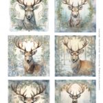 Push out - Scenery - Berrie's Beauties - Deer Square