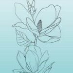 Studio Light Clear Stamp Magnolia Essentials nr.585 SL-ES-STAMP585