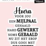 Studio Light Clear Stamp Mijlpaal Essentials nr.623 CCL-ES-STAMP623