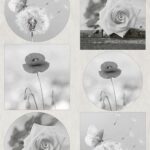 Marianne D Decoupage Serenity Flowers VK9608 A4,