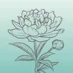 Studio Light Clear Stamp Open peony Essentials nr.694 SL-ES-STAMP694