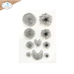 elizabeth craft design - flowers centers 2 - CS359