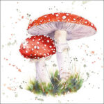 Servetten 5 stuks - Painted Fly Agaric - Ambiente