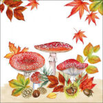 Servetten 5 stuks - Fly Agaric Group - Ambiente