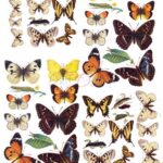 Rice paper A4 (21x29,7cm) Butterflies, Mixed Media, 25/30g