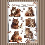 Juffrouw Muis Knipsel - Britse Korthaar
