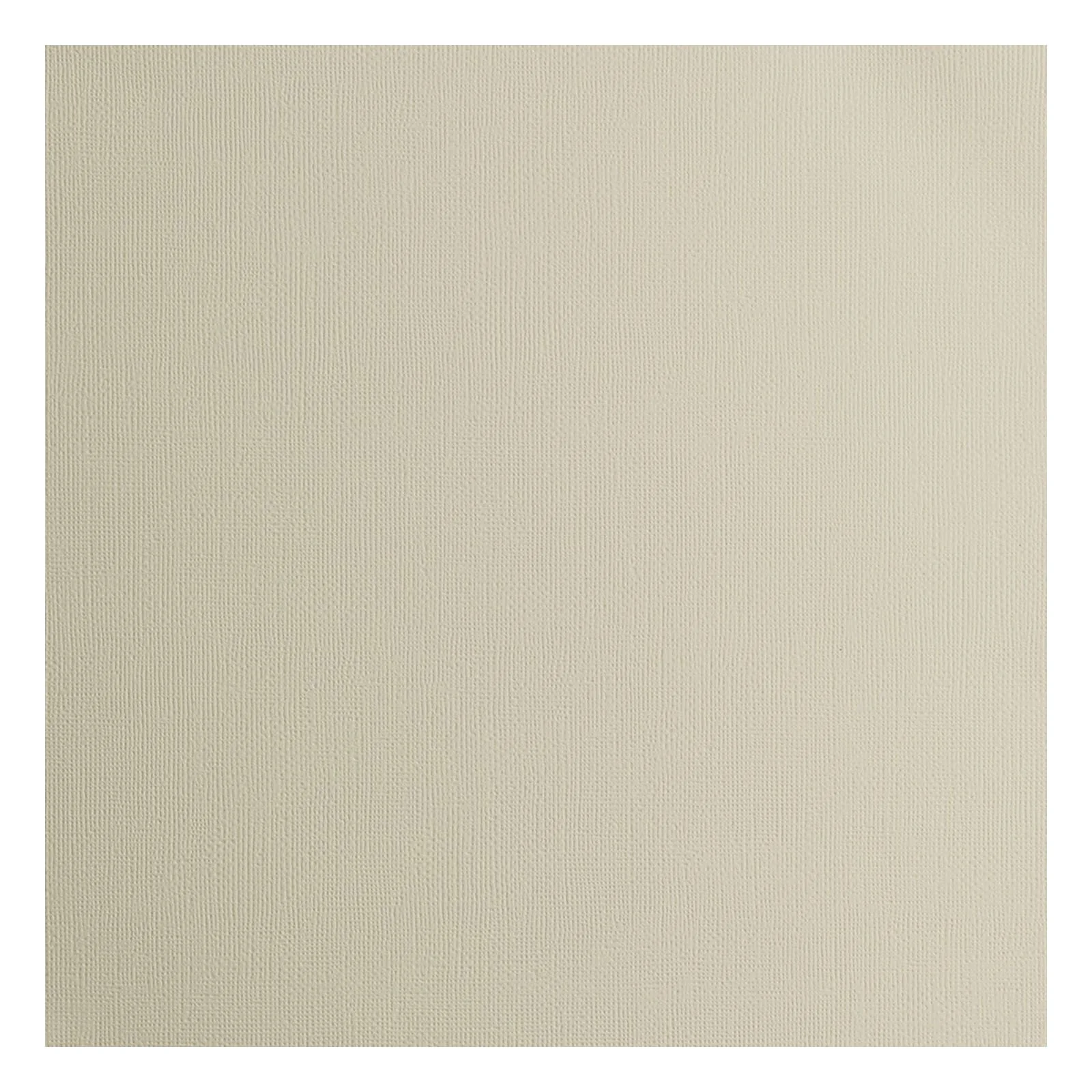 Cardstock Mouse texture 30,5 x 30,5 (5vel) – Florence