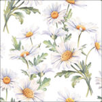 Servetten 5st - Beautiful daisies white