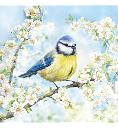 Servetten 5st – Blossom time