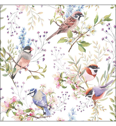 Servetten 5st – Busy birds