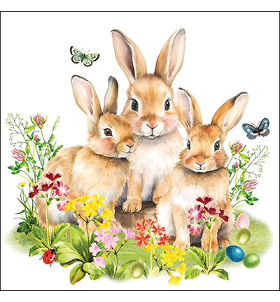 Servetten 5st – Bunny family