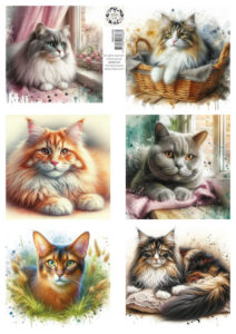 Knipvel - Lovely Cats 2 - Friends for Life