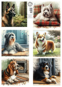 Knipvel - Lovely Dogs 2 - Friends for Life