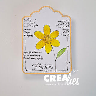 Crealies - Crea-Nest-Lies XXL stansen no. 185, Paneel B glad (past achter XXL 184) - Afbeelding 4