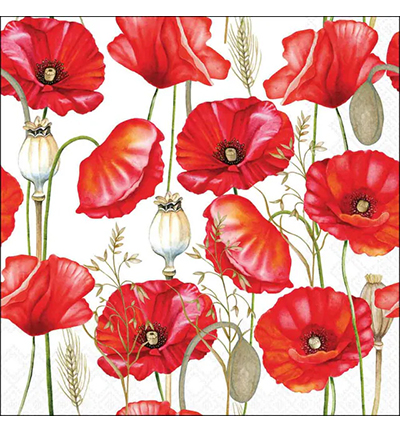Servetten – Poppy all over white 5st