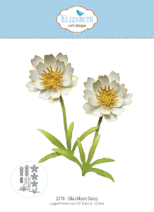 Elizabeth Crafts Blackfoot Daisy